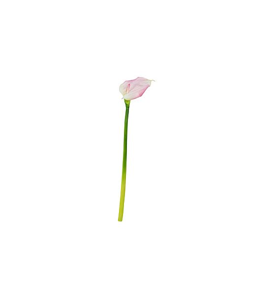 Umělá květina Sia Home Fashion Kala růžová 90 cm