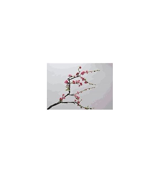 Umělá květina Silk-ka větev růžový květ 160cm