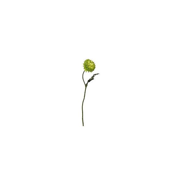 Umělá květina Asa Selection Sedmikráska zelená 30,5 cm