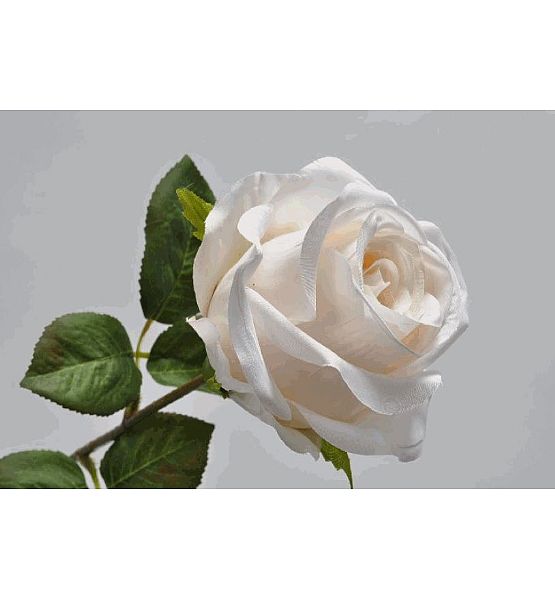 Umělá květina Silk-ka Růže bílá 50cm