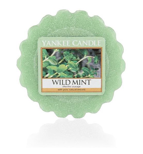 Vonný vosk do aromalampy Yankee Candle Wild Mint 22g/8hod