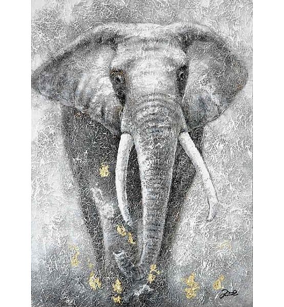 Obraz Stardeco slon 80x120cm