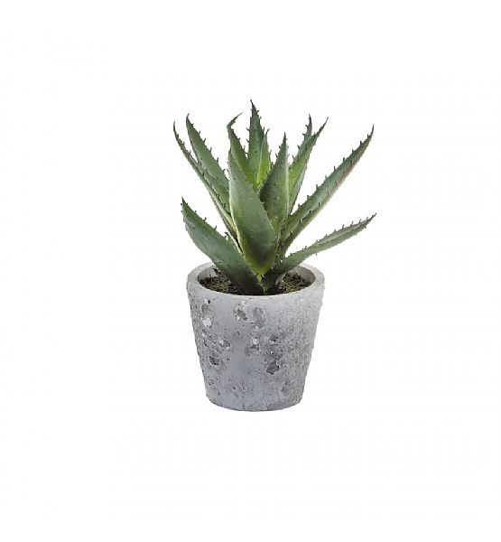 Umělá květina Sia Home Fashion Aloe v květináči 20cm