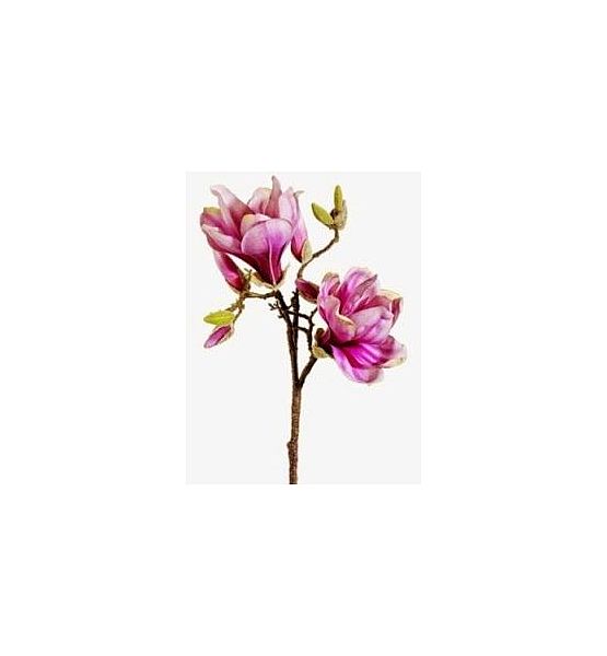 Umělá květina Silk-ka magnolia fialová 73cm