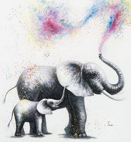 Obraz Maxidesign barevní sloni 80x80 cm