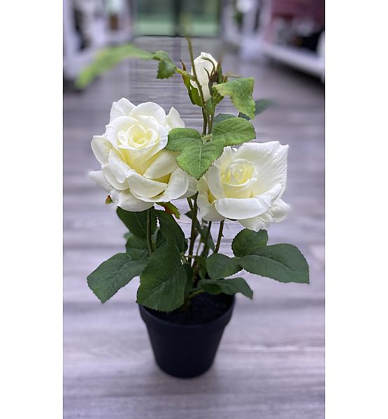 Umělá květina Gasper růže v květináči krémová 48cm