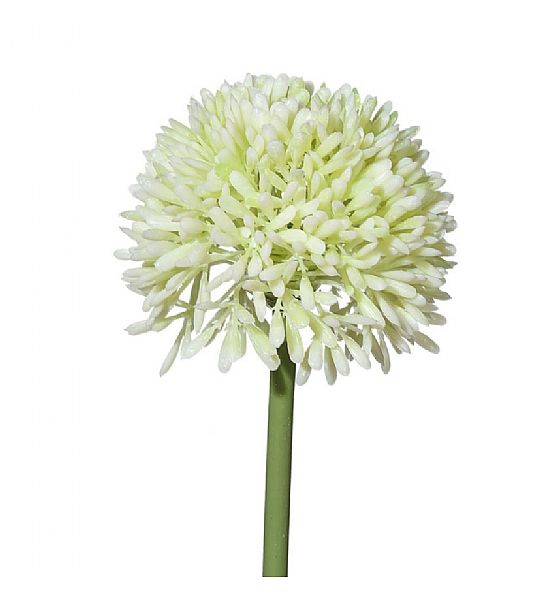 Umělá květina Gasper česnek bílá 44cm