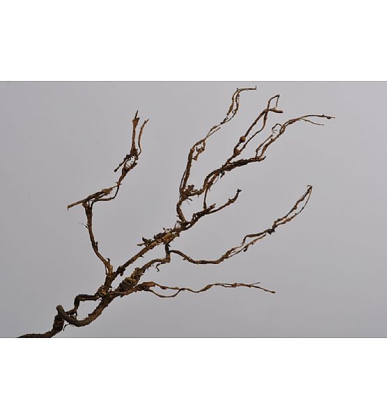 Umělý dekorační kořen Silk-Ka, délka 84 cm