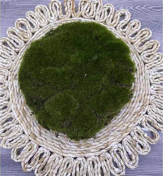 Umělá květina Silk-ka mech zelený, 20 cm