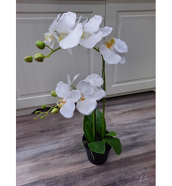 Umělá květina Gasper Orchidej v květináči, 55cm, bílá