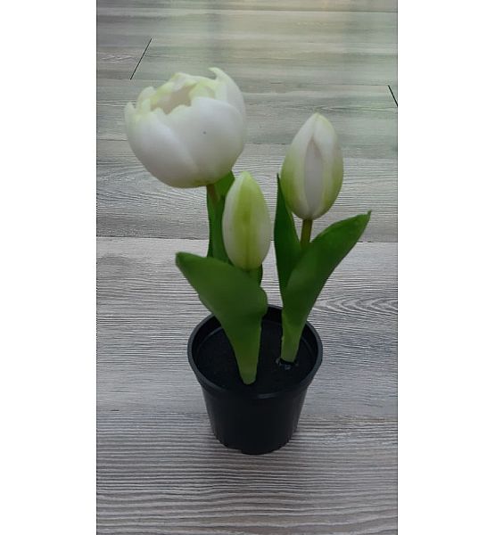 Umělá květina Gasper tulipány v květináči, 20,5 cm, bílá