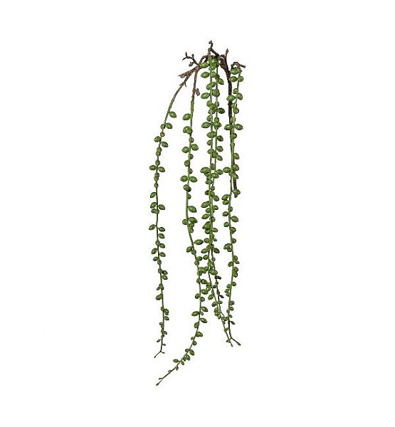 Umělá květina Gasper Senecio převislé 76cm, zelená