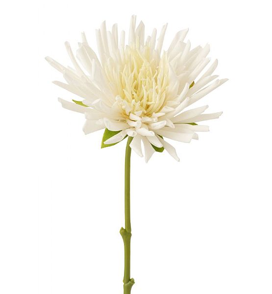 Umělá květina J-line chryzantéma 40 cm, bílá