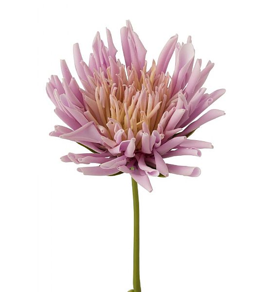 Umělá květina J-line chryzantéma 40cm, růžovofialová
