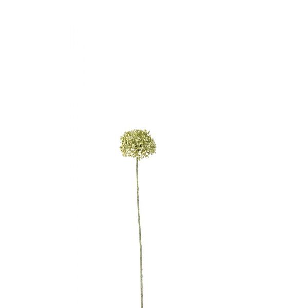 Umělá květina J-line Česnek 8x8x43cm, zelená