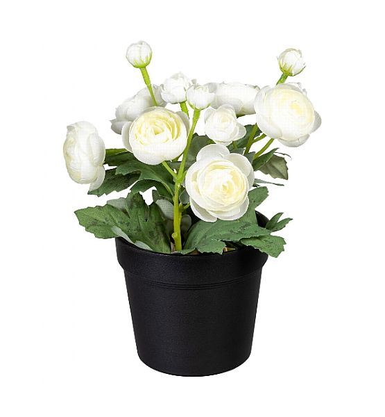Umělá květina Boltze pryskyřník v květináči, výška 20cm, bílá
