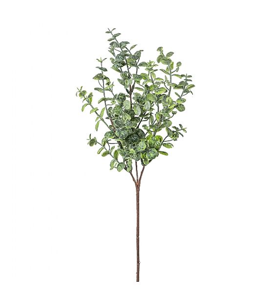 Umělá květina Gasper Eukalypthus 46cm, zelená