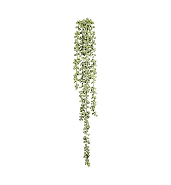 Umělá květina Gasper Senecio prěvislé, 70cm