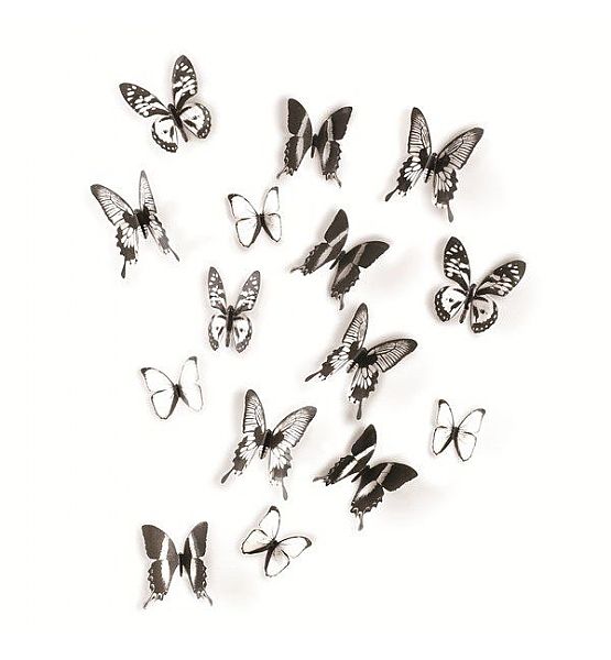 Dekorace na zeď Umbra Chrysalis plast motýli černobílí set/15 ks