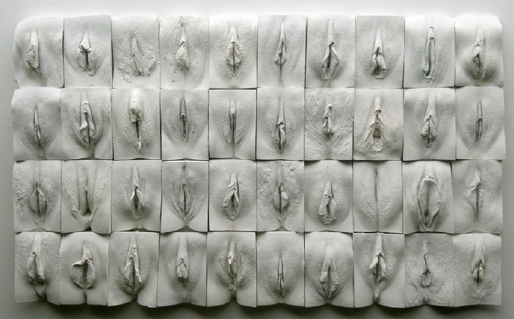 Velká zeď Vaginy - pozoruhodná výstava a práce s lidskými genitáliemi