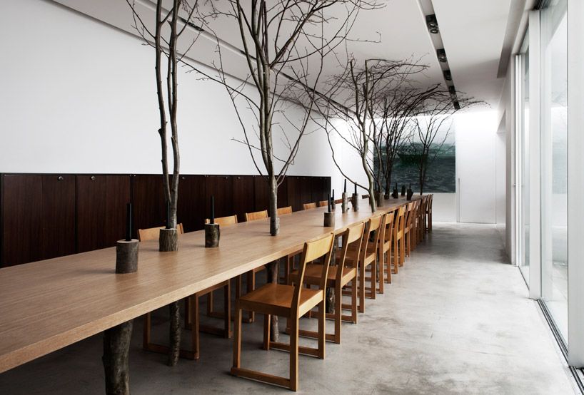 Stůl prorostlý stromy
