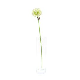Umělá květina Sia Home Fashion Česnek okrasný sv. zelený 88 cm