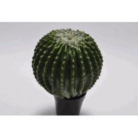 Umělá květina Silk-ka kaktus 33 cm