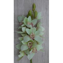 Umělá květina Sia Home Fashion Orchidea Cymbidium sv. zelená  99 cm
