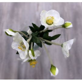 Umělá květina GASPER, 35 cm, bílá