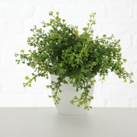 Umělá rostlina v květináči Boltze 25cm, 3 druhy (cena za ks)