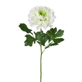 Umělá květina Gasper pryskyřník bílá 60cm