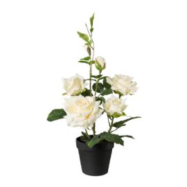 Umělá květina Gasper růže v květináči krémová 48cm
