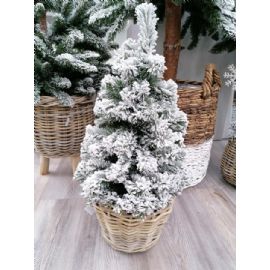 Vánoční stromeček zasněžená jedle 65 cm v jutě