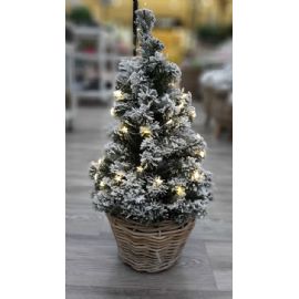 Vánoční stromeček zasněžená jedle 65 cm v jutě