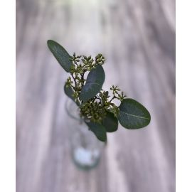 Umělá květina Gasper Eukalyptus, 52cm