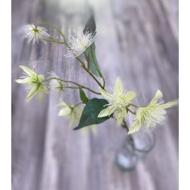 Umělá květina Silk-ka Clematis Spray krémová, 74cm