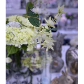 Umělá květina Silk-ka Clematis Spray krémová, 74 cm
