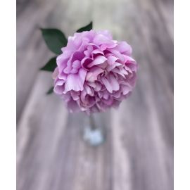 Umělá květina Silk-ka pivoňka růžová rozkvetlá, 57 cm