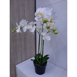 Umělá květina Gasper Orchidej 62cm, bílá, v květináči 15cm