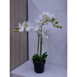 Umělá květina Gasper Orchidej 62cm, bílá, v květináči 15cm