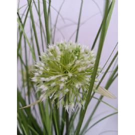 Umělá květina Gasper travina Allium 60cm, v bílém melaminovém květináči 11x10cm
