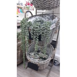 Umělá květina Senecio prěvislé, 35cm, zelená